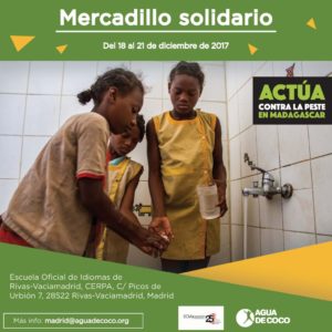 MercadilloRivas2017