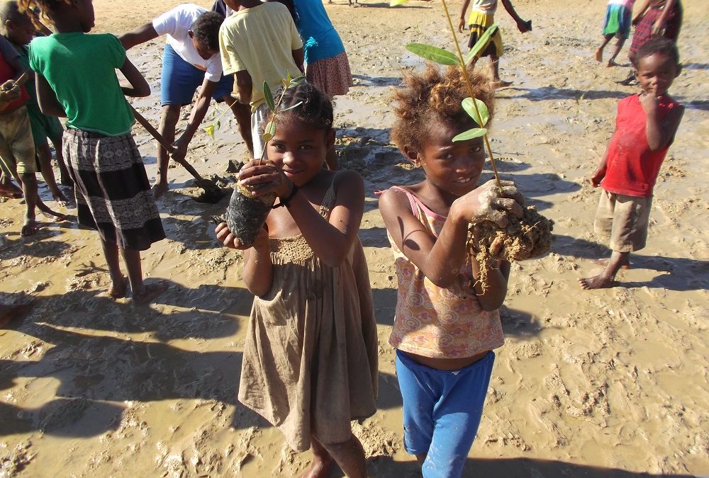 Buscamos técnica/o ambiental para Madagascar