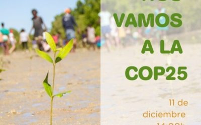 Agua de Coco estará en la COP25 presentando el trabajo de preservación del medio ambiente
