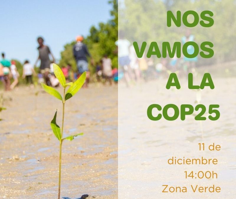 Agua de Coco estará en la COP25 presentando el trabajo de preservación del medio ambiente