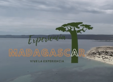 ¡Comienza la experiencia Madagascar!