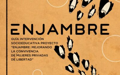 Cerramos la primera fase del proyecto Enjambre publicando la Guía de Intervención