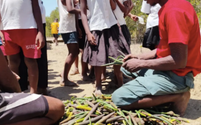 Apoyo al Equipo de Ganadería en la Granja Educativa